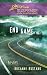 End Game (Love Inspired Suspense)