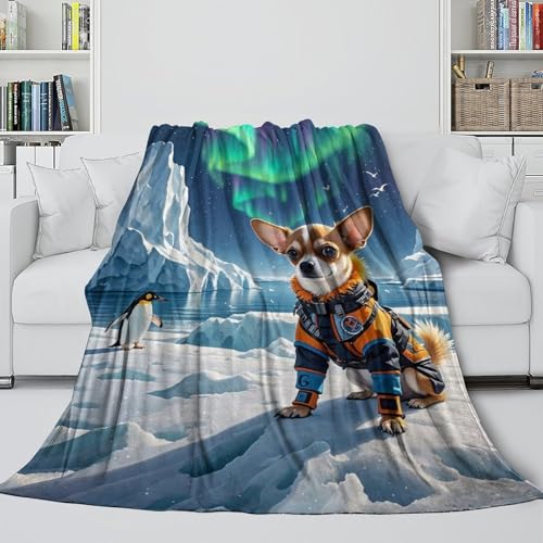 Plaid Chihuahua 3D en microfibres 150x200cm pour canapé et lit - 6