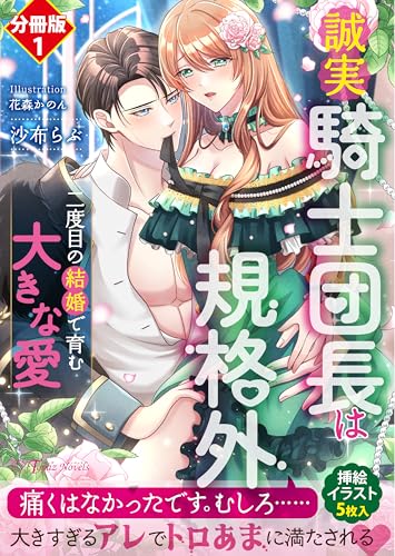 誠実騎士団長は規格外～二度目の結婚で育む大きな愛～【分冊版1】 誠実騎士団長は規格外【分冊版】 (トパーズノベルス)