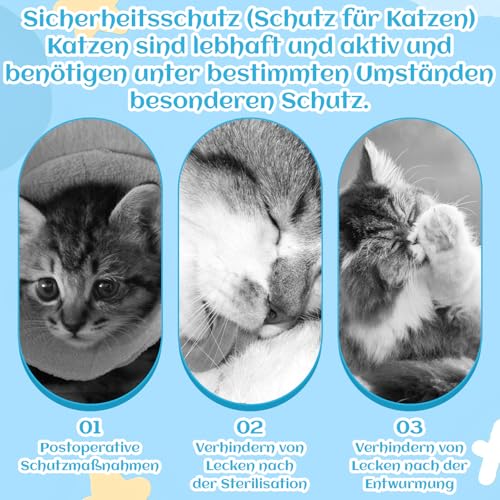 2 Stück Postoperative Katzenbekleidung, Katzenbody Nach Op, Katzen Body Für Katzen Operation, Bequeme Kleidung In Blau Und Rosa