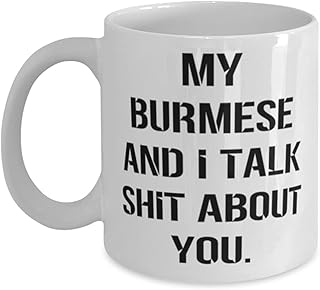 Mother's Day Funny Gifts for Cat Lovers, Unique Burmese Cat Gifts for Friends, Sarcastic Gifts from Family