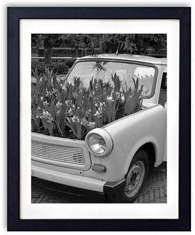 Amazon Co Jp 木製フォトフレーム 写真フレーム 木製の枠 50cmx70cm 特大 水仙の花花壇車ボンネット 白黒の装飾画 壁掛け 壁飾り 壁ポスター おしゃれ ウォールアート アートパネル 壁の絵 インテリア絵画 額縁 部屋飾り 黒額縁が飾っている 壁画 家電 カメラ