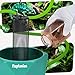 NEPTONION 【Metered Dose; ~0.4 g/Press】 Reptile Calcium Powder Mixer, Cricket Keeper Dispenser Feeder, One-Click No-Mess Duster for Chameleon, Gecko, Lizard & Frog