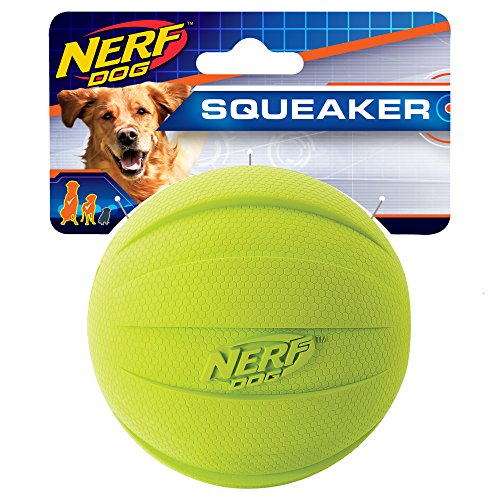 Top 10 Best Large Rubber Ball For Dogs in 2023 Reviews by Experts