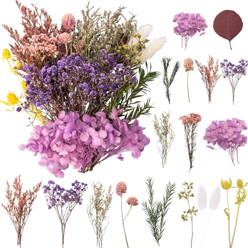 LAUMOE Getrocknete Blumen, Trockenblumen Zum Basteln Mini Trockenblumen Set für DIY Epoxidharz Scrapbook Zubehör Handgemachte Heimdekoration Hochzeit (Lila)
