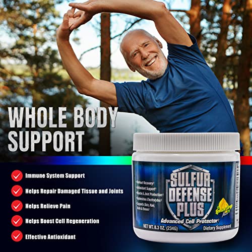 Sulfur Defense Plus, Opti-Msm Plus Vitamin C Powder, Organic Sulfur & Vitamin C, 99.9% Pure Msm Powder Plus C, Usa Made, Organic Methylsulfonylmethane Crystals, Vegan, Non-Gmo, Gluten-Free (30 Servings) #TOP4