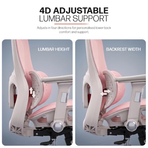 Image of DROGO Axion Ergonomic Office Chair for Home & Work | Dual-Wing Dynamic Lumbar Support, 5D Armrests, 3D Headrest | Breathable Mesh Computer Desk Chair, 5cm Seat Slider, 135 Recline, Footrest (Pink)