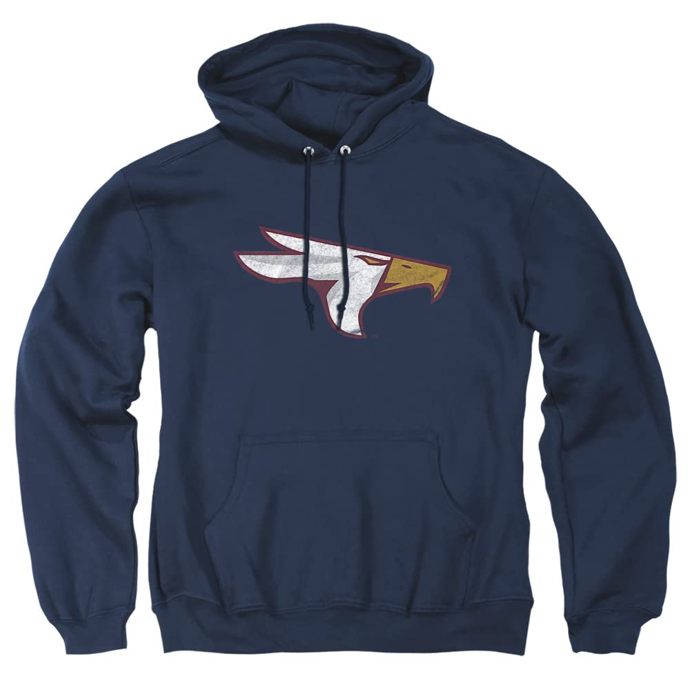 LOGOVISION Official Collegiate Distressed Primary Logo Adult Pullover Hoodie Collection — view 325