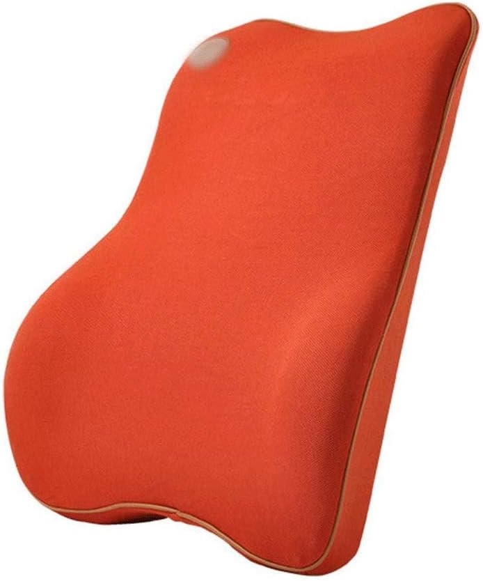 JSEIAJB Memory Foam Lumbar Support Pillow, Breathable Mesh Back Cushion with Ergonomic Designed for Low Back Pain Relief, Orthopedic Backrest for Car Seat(Gray)