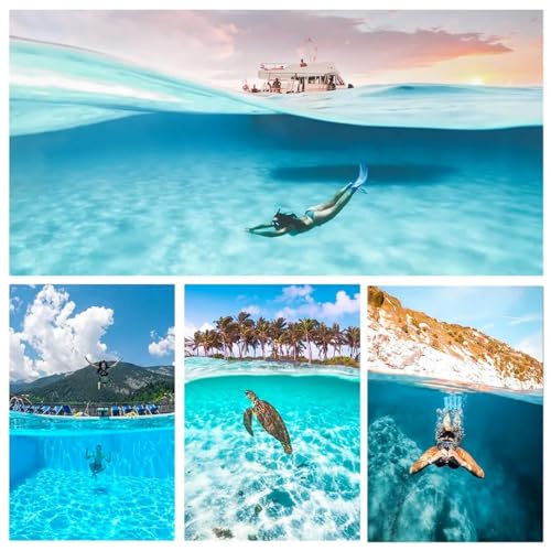 Dome Compatível com GoPro Hero 12/11 / 10/9 Black com Modo Selfie - Telesin