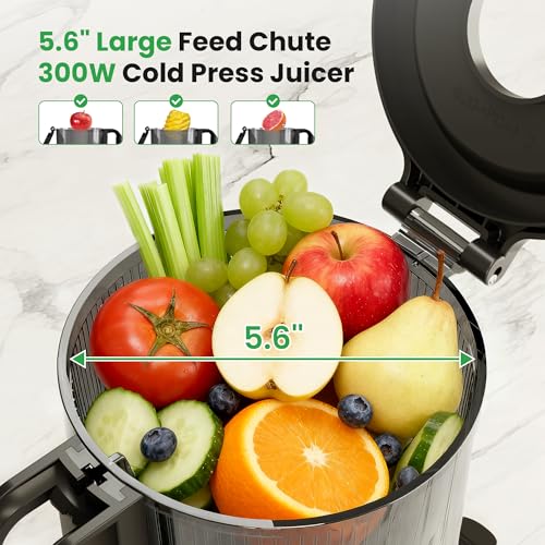 Kismile Cold Press Juicer, 5.6" Wide Feed Chute Juicer Machine, 300W Slow Masticating Juicer with High Juice Yield, Easy to Clean, for Whole Fruits and Vegetables, Celery Juicer, Stainless Steel — view 2