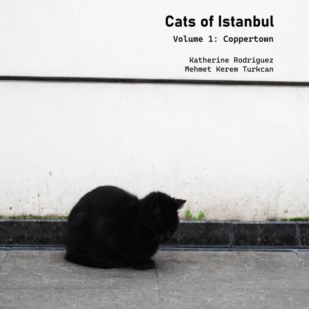 Cats of Istanbul Volume 1: Coppertown      Paperback – February 21, 2026