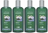 Cobertizo. Logona - Champú anticaspa con aceite de enebro, 4 x 250 ml