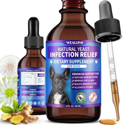 Canine Yeast Infection Treatment With Probiotics preview