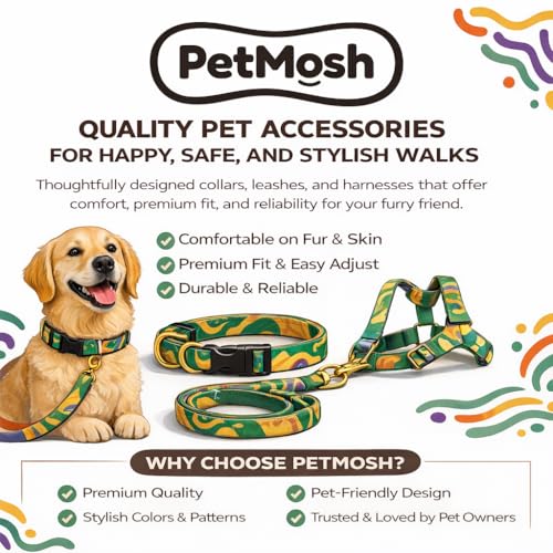 Image of Dog Leash with Padded Handle and Padded Collar Set | Adjustable Nylon Dog Collar & Heavy Duty Leash with Strong Metal Clip | Useful for Small Medium Large Dogs (Blue & Yellow)