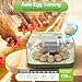 Incubators for Hatching Eggs, 12 Eggs Capacity, Egg Incubator with Automatic Egg Turning and Humidity Control for All Poultry - Chickens, Ducks, Quails, Turkeys, and More (Green)
