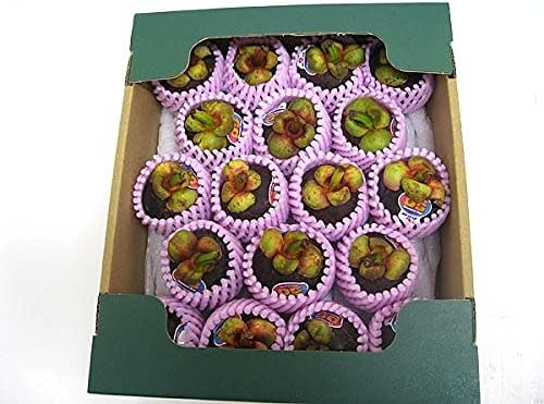 Amazon マンゴスチンタイ産 フレッシュ マンゴスチン 中箱 約14 個入り こだわりの果物屋 紅光 トロピカルフルーツ 通販