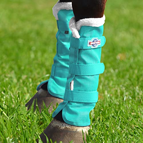 Top 10 Best Leg Protection For Horses Reviews & Buying Guide Katynel