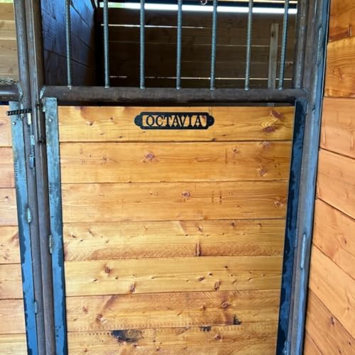 Personalisiertes Metallschild für Pferde, Stall, Namensschild für Pferde, Reiten, Scheunendekoration, Ranch-Dekoration, personalisiertes Scheunenschild, stabiles Türschild, personalisiertes Geschenk