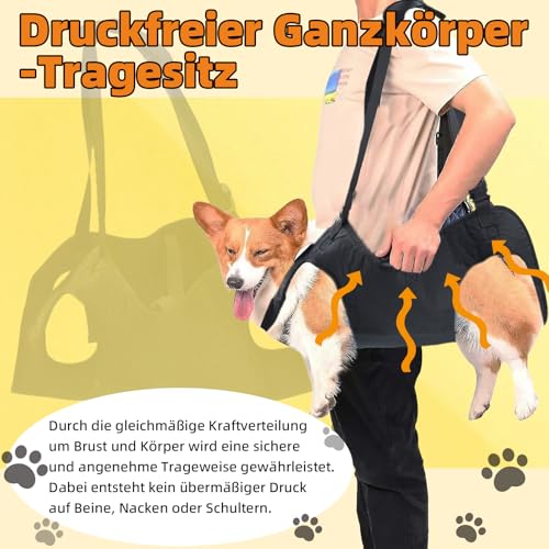 Tragehilfe Hund: Hundetragegurt – Ganzkörper-Hebleine mit Griff für Hunde von 17-27kg, Mit Stützring, speziell für kranke oder ältere Hunde