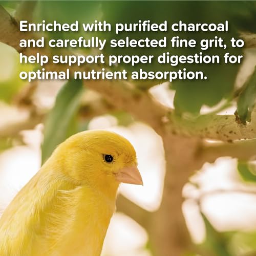 BEAPHAR - Vogel Grit Für Ziervögel - Mineralstoffe Aus Muschelkalk - Feine Magenkiesel Zur Unterstützung Der Verdauung - Fördert Knochen Und Festigkeit Der Eierschale - 225 g