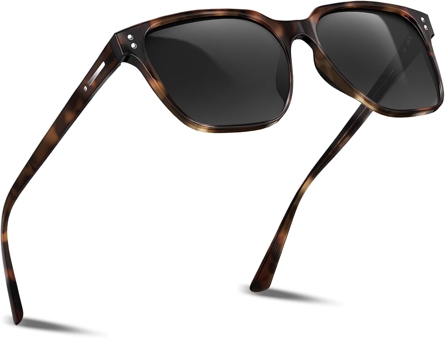 Tortoise/Black