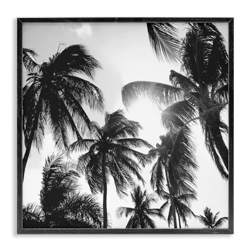 Sunlit Palm Tree Coastal Photography, 24 x 24 Inch Framed Giclée Print