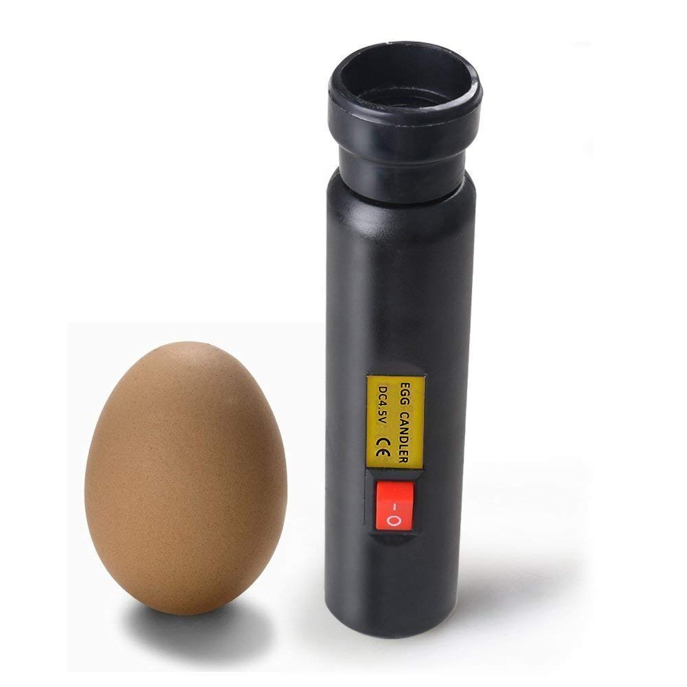 Incubatrice Uova Per Galline, Quaglie, Anatre - 48 Uova, Con Ventilatore