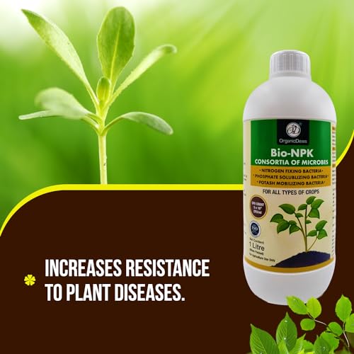 Image of OrganicDews Bio NPK consortia (5x10^8 CFU /ML) Bio Inoculum Fertilizer (6 Litre) for Plants - Soil Fertility, Faster Plant Growth and Increases the Yield 6 Litre