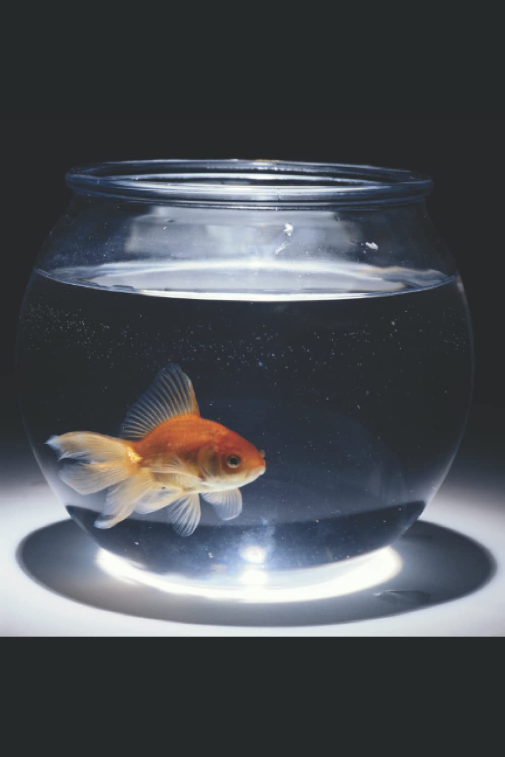 Fish Design A4 lined NOTE BOOK: Multipurpose Use (1)