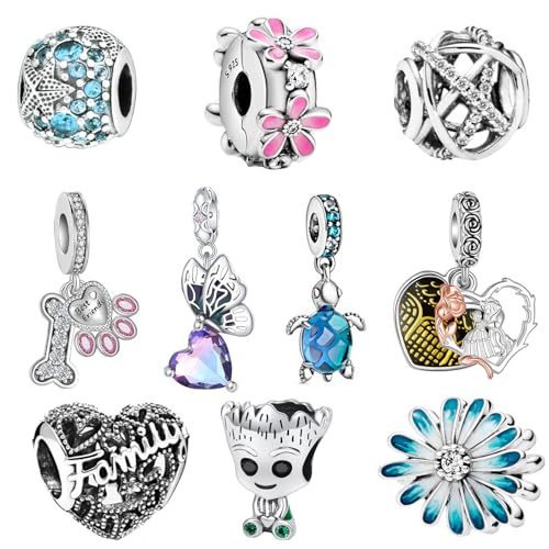 ARVALILS 10 Packs Charms Sets 925 Sterling Silver Charm for Bracelets and Necklaces Charm Jewelry Gift for Women Family Friends