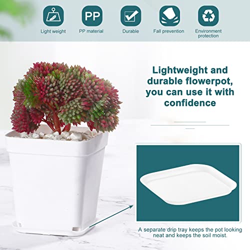 Fippy 60 Pieces Small Plastic Plant Pot 7cm, Square Plant Nursery Pots with Trays, Plant Seedling Pot - Image 3