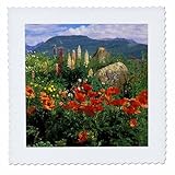 Square dimensions (in inches): 16 L x 16 W, image dimensions (in inches): 14 L x 14 W 100% poloyester; image is soft to touch. Made in USA Edges have pinking shear cut Image will not fade with washing. Image not a transfer, part of material