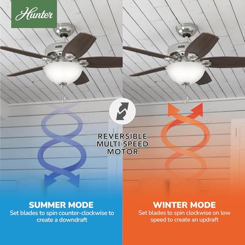 Image of Hunter Builder, Indoor, Ceiling Fan, Pull Chain, 42 inch, Brushed Nickel