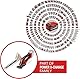 Einhell Akku-Gras- und Strauchschere GE-CG 18/100 Li-Solo Power X-Change (Li-Ion, 18 V, Schnittbreite Grasscherenmesser 100 mm, Schnittbreite Strauchscherenmesser 200 mm, ohne Akku und Ladegerät)