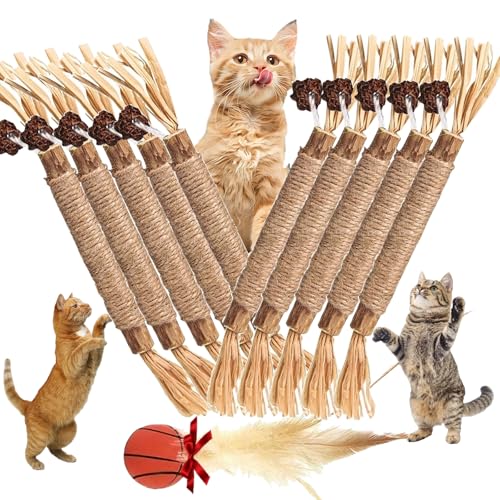 Aparthy Natural Silvervine Dental Sticks