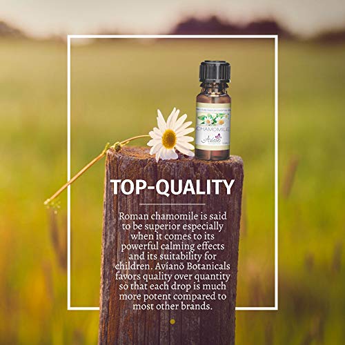 Roman Chamomile Essential Oil Ultra-Premium 100% Pure Therapeutic Grade - 10ml By Avíanō Botanicals - Thumbnail 2