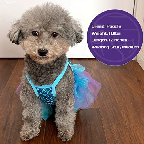 Cyeollo Birthday Dog Dress Mermaid Holiday Outfit Slip Tulle Skirt Dog Clothes Girl Sparkly Princess Tutu Dog Dresses For Small Dogs #TOP6
