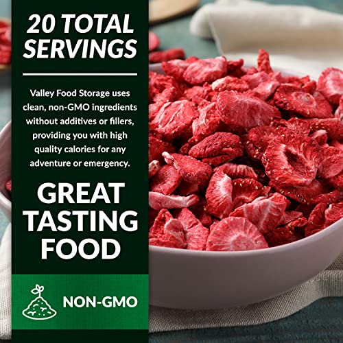 Image of Valley Food Storage Freeze Dried Strawberries | Emergency Food Supply, 25 Year Shelf Life | Survival Food, Camping Snacks & Long Term Prepper Storage | Real Fruit, Packaged in USA (10 Bags + Bucket)