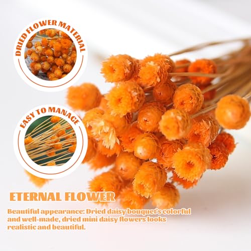 Bouquet 2PCS flores secas naranja 40 cm con tallos miniatura 3