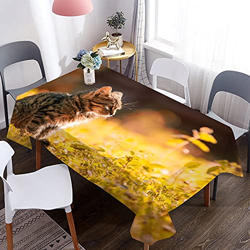 Amazon｜かわいい猫の動物の3Dテーブルクロス、防水性と耐油性の