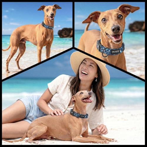 Image of Tuff Pupper Premium Adjustable Dog Collar, Stylish Pattern Collars Designed in USA, Quick Release Buckle, Shark Tide Medium (1 Inch Wide x 13-18 Inch Neck)