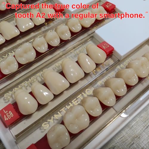 Image of A3 of Maximum Standard Size Teeth Fake Teeth, Tooth KitDIY All Teeth 3 Sets.Dental Education,Dental Teeth Teaching Model(New 1 Box)