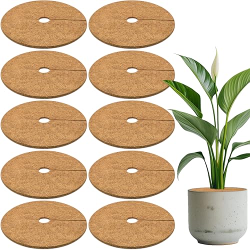 Coconut Fibers Mulch Ring Tree Protector Mat