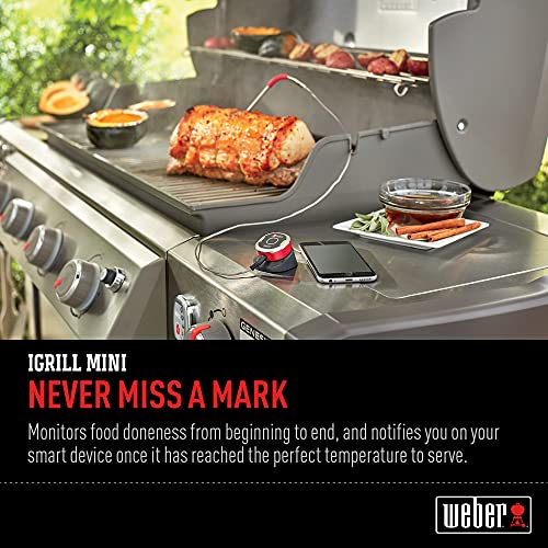 Weber Igrill Mini #TOP2