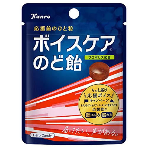 ボイスケアのど飴の通販 価格比較 価格 Com