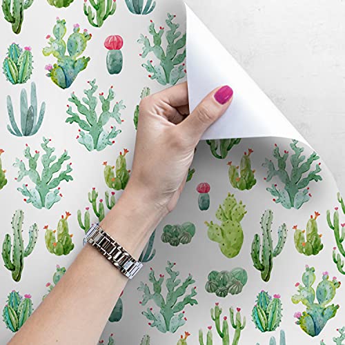 Mural Magic-Stick Tiny Cacti Papier Peint Chambre Salon 312x219cm