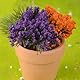 QEDBOJE 20PCS Static Grass Tufts Modellbau Rasen Selbstklebend Statische Grasbüschel Grass Blume für Modellbasen Terrainszenen Miniatur Wargame