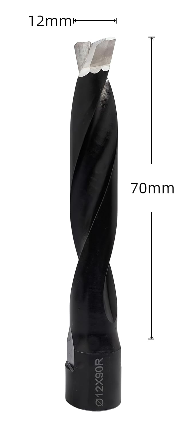 Domino Cutter, Solid Carbide Domino Bit for Domino DF700,12mm