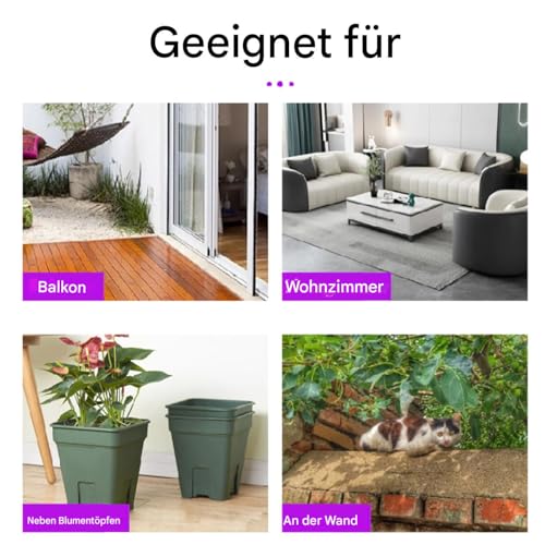 Tapis de protection chat : protégez votre canapé des griffures efficacement - 5